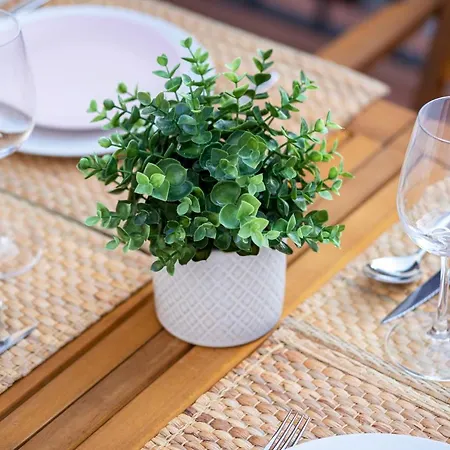 El Rincon De Braulieta * Ногеруэлас